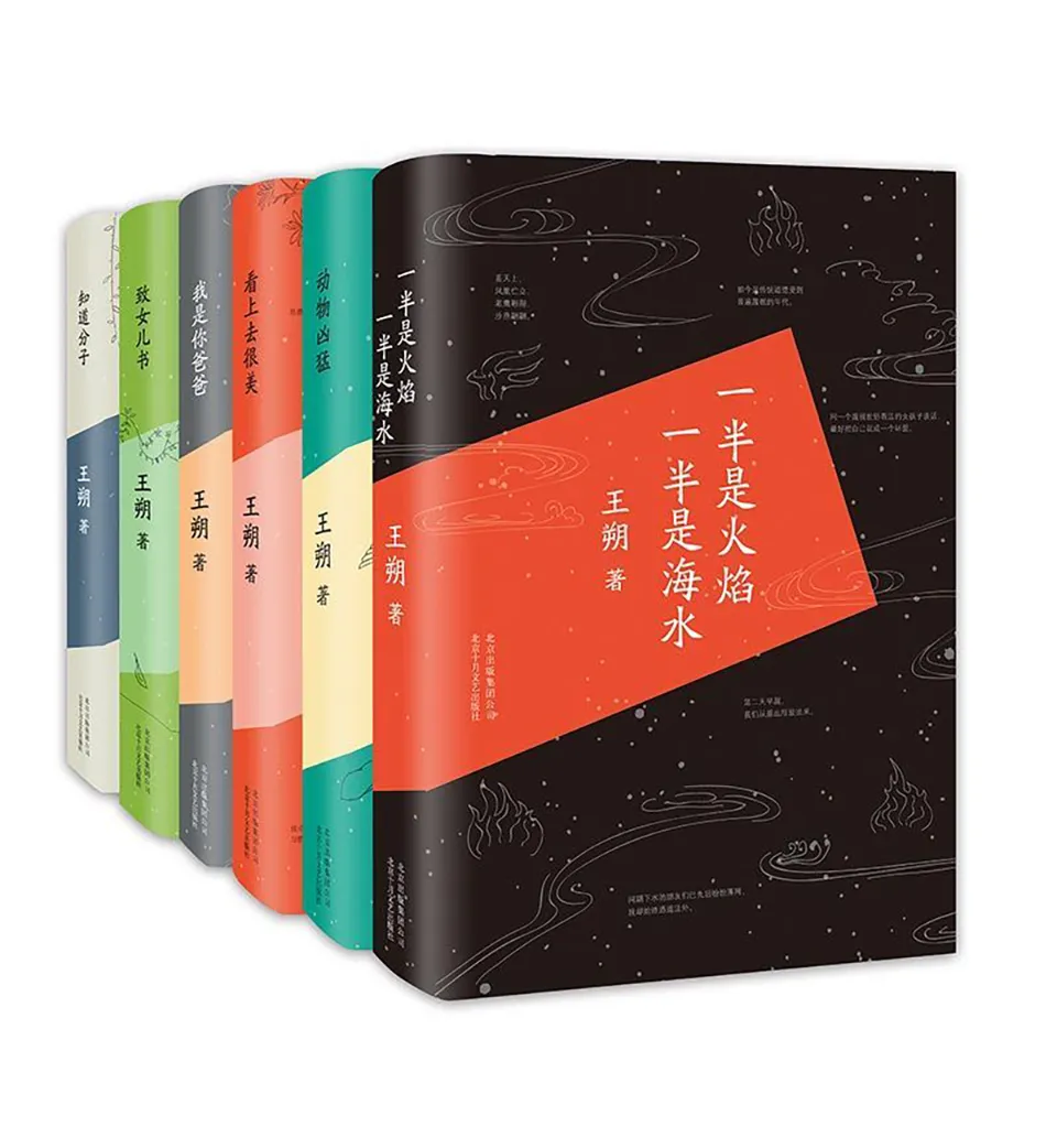《王朔经典作品合集（共六册）》
