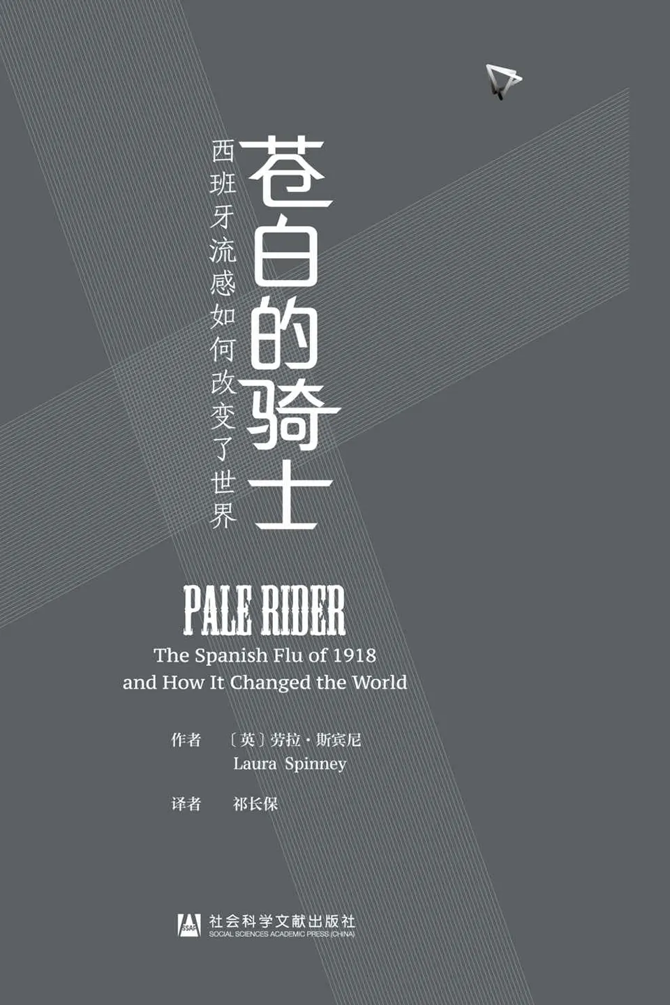 《苍白的骑士：西班牙流感如何改变了世界》