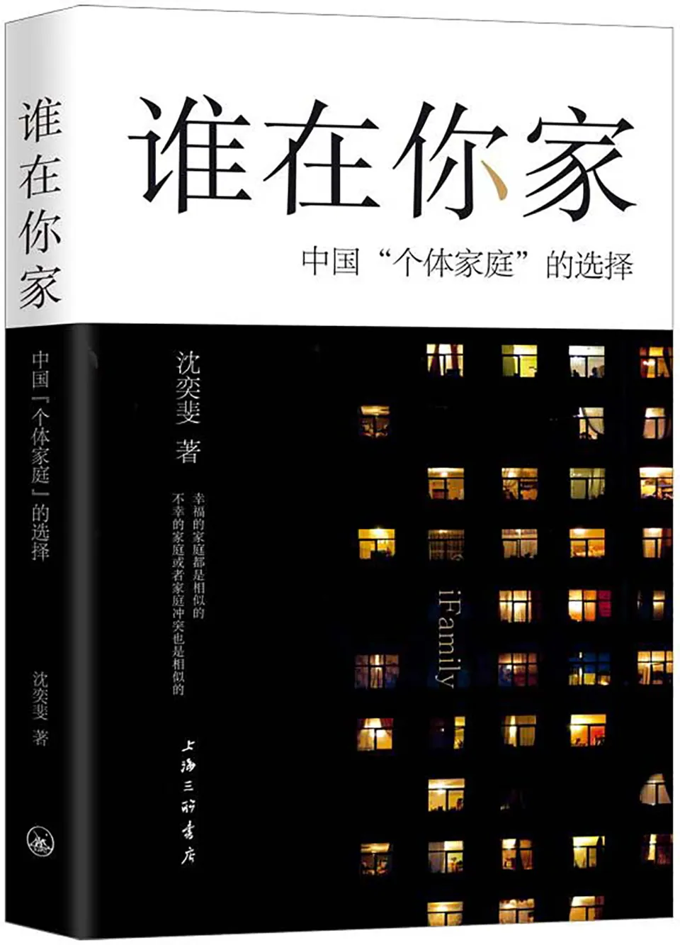 《谁在你家：中国“个体家庭”的选择》沈奕斐