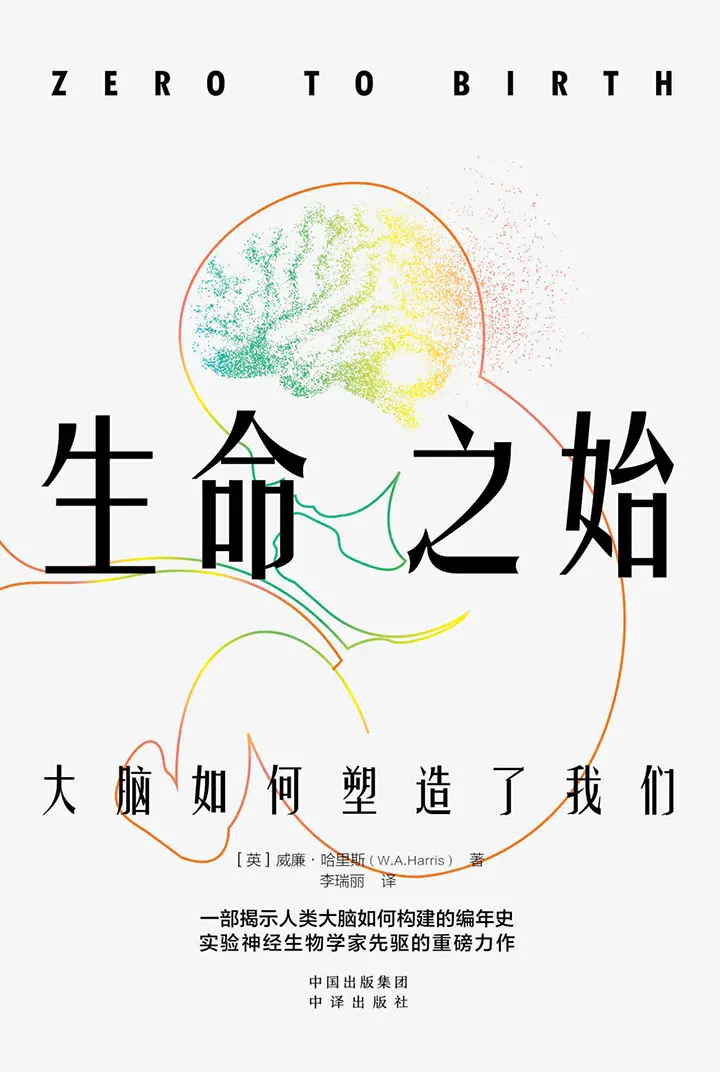 生命之始：大脑如何塑造了我们